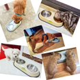 thumbnail image 2 of Cuencos de perro pequeños de acero inoxidable con soporte de metal, cuenco para cachorros y gatos pequeños, 11 Afortunado Sencillez, 2 of 2