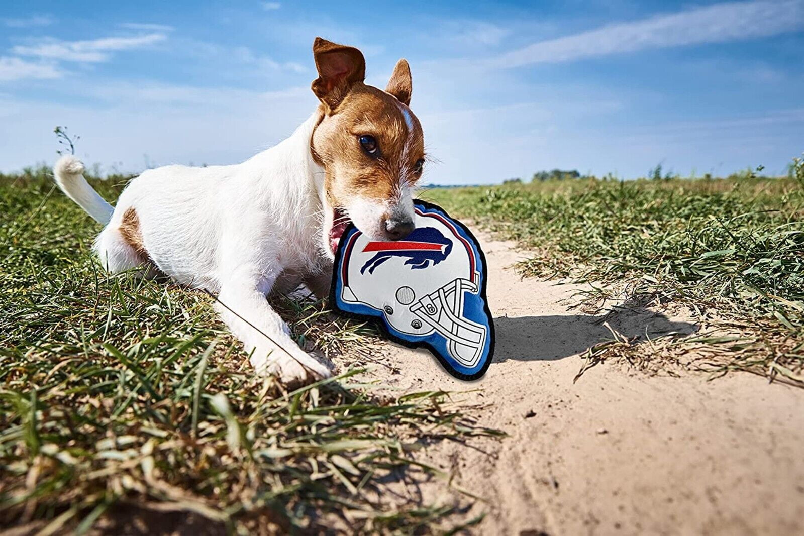 Pets First NFL Buffalo Bills Tough Helmet Pet Dog Toy Premium Quality with Built-in Squeaker Chew Toy