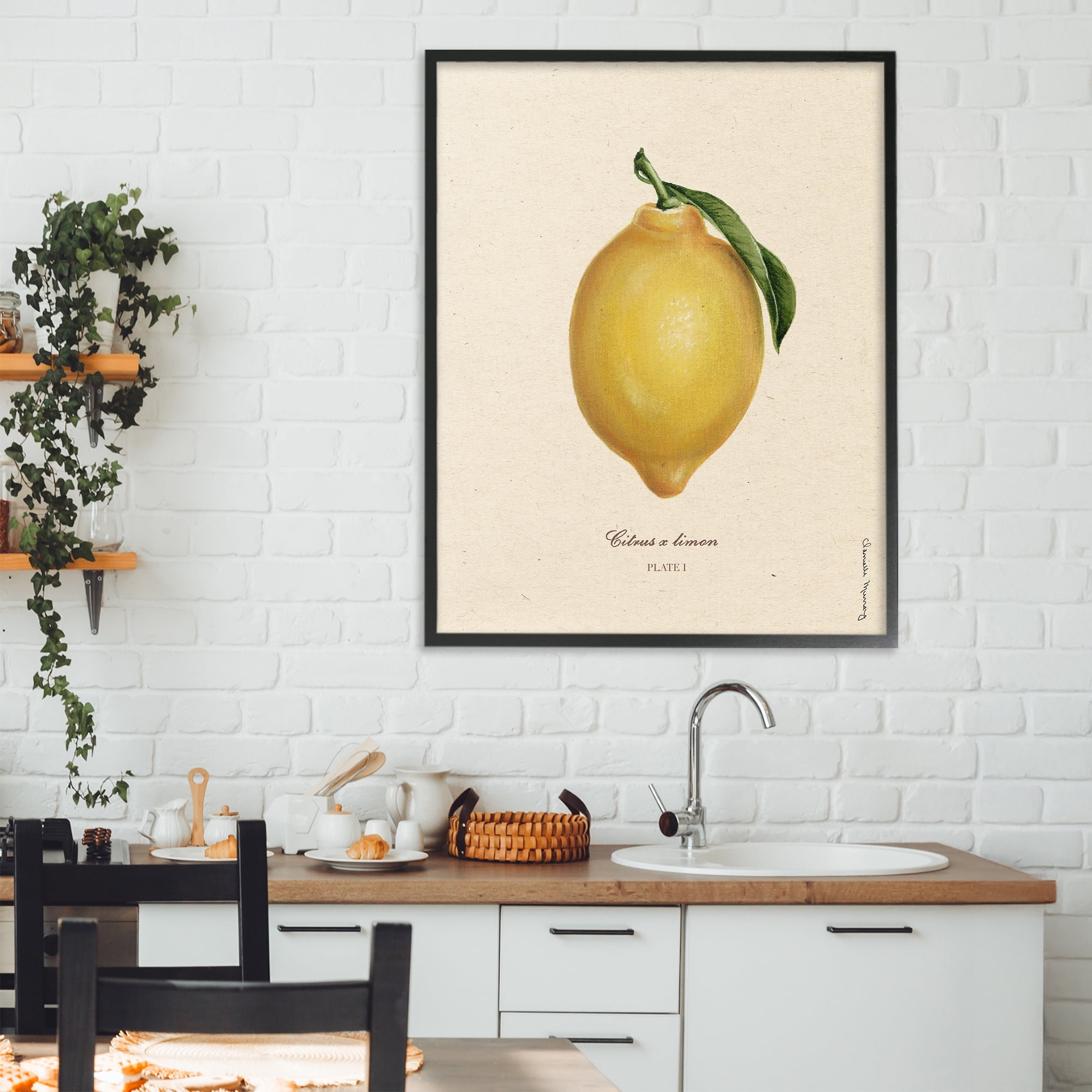 Stupell Industries Lemon Fruit Portrait Black Framed Giclee Art, design by Danielle Murray