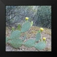 thumbnail image 2 of Popcorn 20x20 Black Modern Framed Museum Art Print Titled - Wildflowers XX, 2 of 5