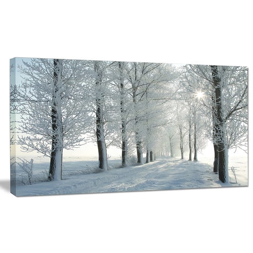 Millwood Pines 'Winter Trees Backlit by Morning Sun' Photographic Print on Wrapped Canvas