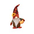 thumbnail image 1 of Cateissary Accesorios de muñeco de peluche para el día de Acción de Gracias, decoración de interesante, accesorio de decoración de gnomo de Kits de decoración para fiestas Calabaza Cateissary HA070057-01, 1 of 6