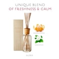 thumbnail image 2 of Reed Diffuser Alora Ambiance Arancia, 240 ml, fragancia duradera, 2 of 8