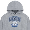 thumbnail image 3 of Levi's Boys Toddler Authentic Prep Hoodie, Sizes 2T-4T, 3 of 4