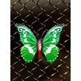 thumbnail image 4 of (ZE2305) Hierro para en La Pared Del Mariposa Verde (Observaciones Al Realizar El Pedido Embalaje en Sellada), 4 of 9