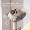 thumbnail image 4 of Árbol para Gatos Heybly HCT200SW para Gatos de Interior con Poste para Rascar, 4 of 9