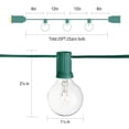 thumbnail image 2 of String Lights SUNSGNE G40, 7,6 m, 27 bombillas, 110 V, cable verde, 2 of 7
