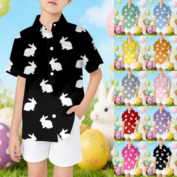 LRen Easter Bunny Print Boys Short Sleeve Button Down Shirt With Stand Collar Easter Egg Graphic Print Boys Kids Toddler Tees Clothes Summer Tops