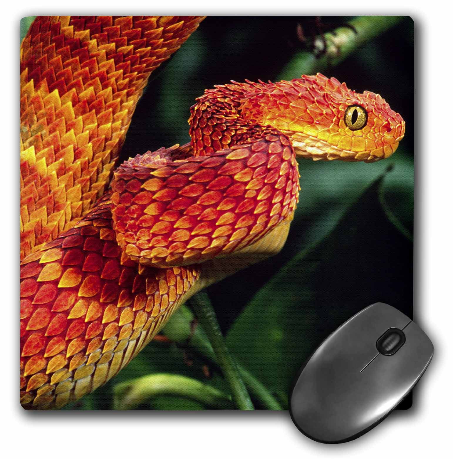 home viper com