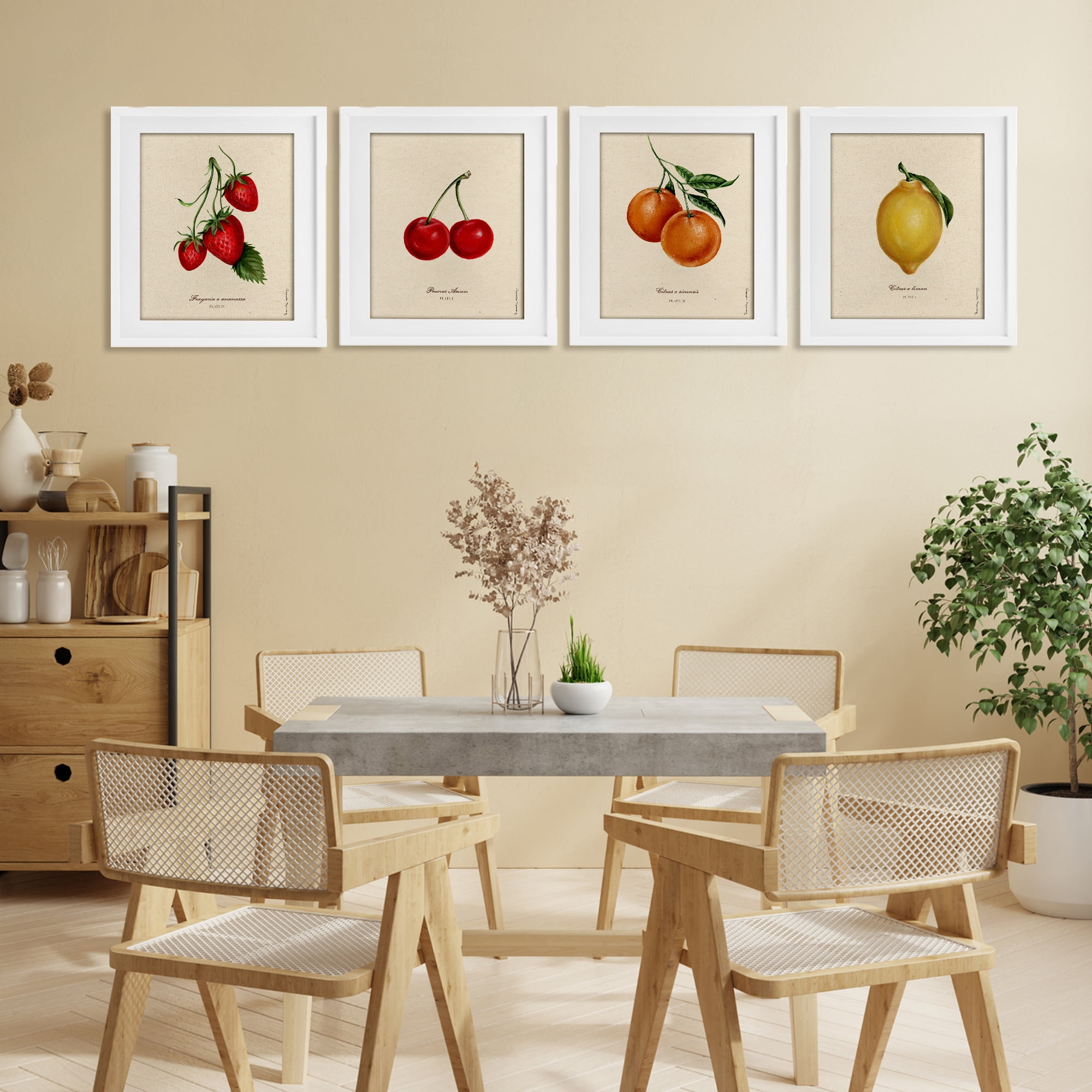 Stupell Industries Vintage Fruit Portraits 4 Piece White Framed Print Under Glass Set, design by Danielle Murray
