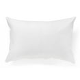 thumbnail image 2 of Millano Everyday Pillow Protector (2 Pack), 2 of 3