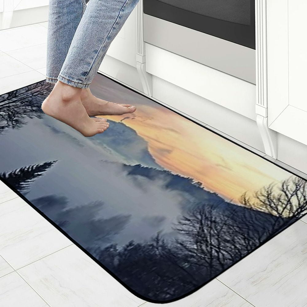 PHYHOO Decorative Door Mat, Door Mat with Non-Slip Rubber Backing, Easy Cleaning, Traps Dirt, Rug for Entry, Patio, Garage - Black Forest Rhine Valley Winter Clouds Panorama 19.68*47.24 in