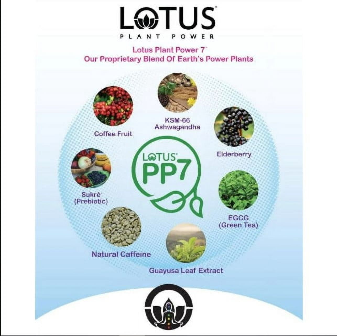 Lotus Plant Power 5:1 Energy Concentrate 64 fl oz (Skinny Pink)