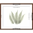 thumbnail image 5 of Art.com Tree Fern Portrait 4 Premium Giclee Print by Albert Koetsier, Brown Frame Wall Art, 29" x 23", 5 of 5