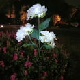 thumbnail image 3 of 3 cabezas Hortensia Luz de tierra Bendable LED Solar Path Yard Lights para patio, 3 of 9
