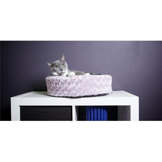 Furhaven 14135353 Ultra Plush Cup - All Plush - Cream