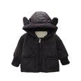 thumbnail image 2 of KYAIGUO 1-5T Girls Winter Thicken Outwears Coats with Hoodie Baby Toddler Padded Solid Color Jackets Autumn Zip up Warm Fleece Coats, 2 of 8