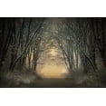 thumbnail image 2 of Lia, Adela 14x11 Gold Ornate Wood Framed with Double Matting Museum Art Print Titled - Winter Story, 2 of 4