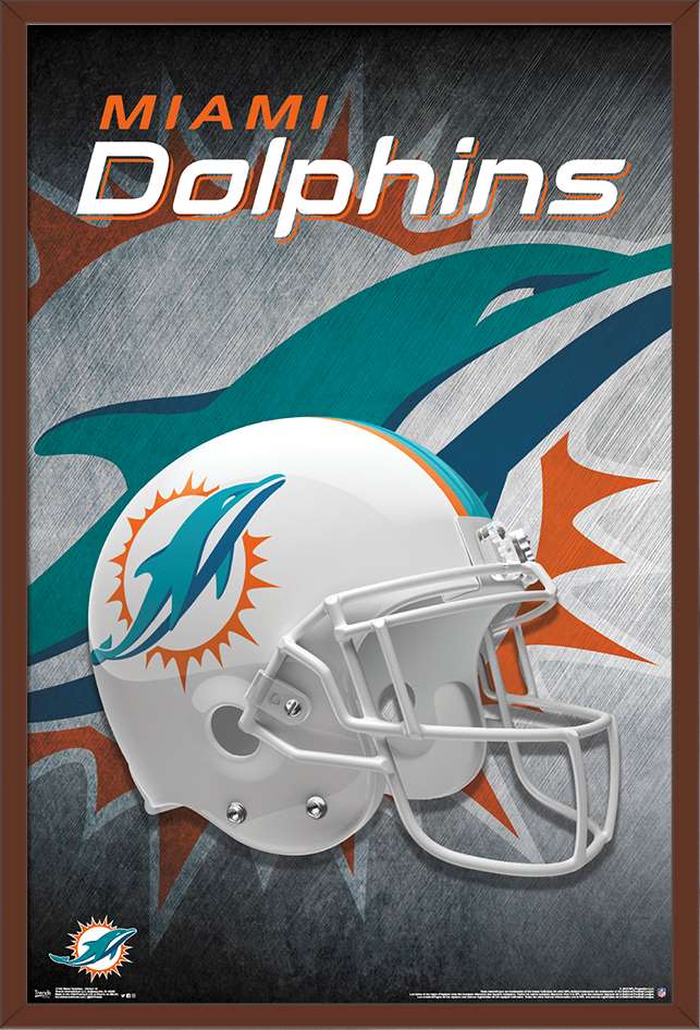 dolphins gear near me