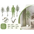 thumbnail image 2 of 2-Pack 7ft Artificial Olive Trees in White Pot - Tall Fake Plants with Lifelike Fruits & Dense Leaves for Modern Home Decor, 2 of 9