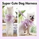 thumbnail image 5 of Paquete de 2 arnés para perro con correa, traje de flores para mascotas, ropa de primavera y verano, lindo juego de correa para arnés para cachorro, disfraz de princesa de encaje para caminar al aire, 5 of 8