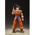 thumbnail image 3 of Figura de acción TAMASHII NATIONS Dragon Ball Z Son Goku, 3 of 9
