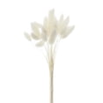 thumbnail image 1 of Hierba secas naturales para arreglo decoración para hogar, flores de hierba seca, ramo , accesorios para fotografía, en hogar y perfecl hierba de pampa seca, 1 of 8
