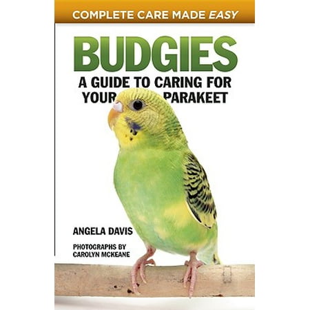 Budgies : A Guide to Caring for Your Parakeet
