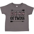 thumbnail image 3 of Inktastic Big Sis of Twins Sister Announcement Girls Toddler T-Shirt, 3 of 5