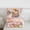 Capybara 01, variant on Erosebridal Kids Kawaii Capybara With Fruit Orange Twin Comforter Sets 3-Piece,Boys Girls Floral Cherry Blossoms Bedding SetPink Reversible