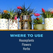 BioAdvanced Houseplant Insect & Mite Control, Ready-to-Use, 24 oz (2-Pack)