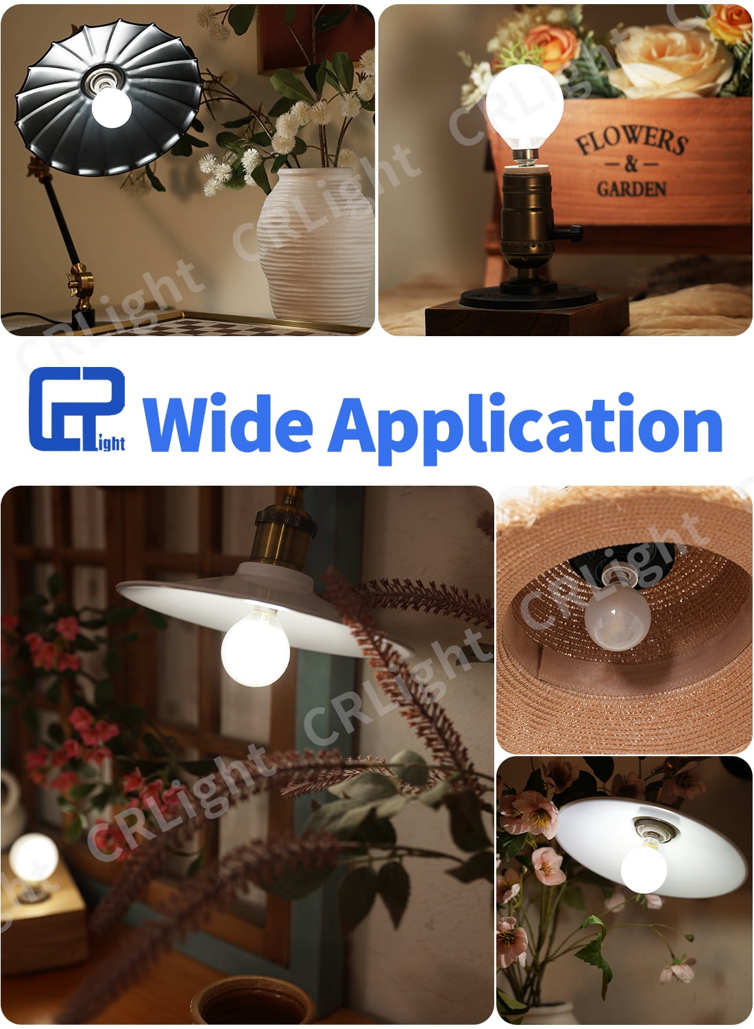 CRLight LED 2W (25W Equivalent) Neutral White E12 G50 Decorative Light Bulbs, 12 Pack