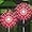 Red, variant on Solar Garden Lights Solar Firework Lights, 2 Pack 120 LEDs 2 Lighting Modes Solar Lights Outdoor Waterproof for Garden Patio Walkway Pathway Party Wedding Christmas Decorative - Blue