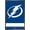 Bronze Framed Version, variant on NHL Tampa Bay Lightning - Logo 21 Wall Poster with Push Pins, 22.375" x 34"