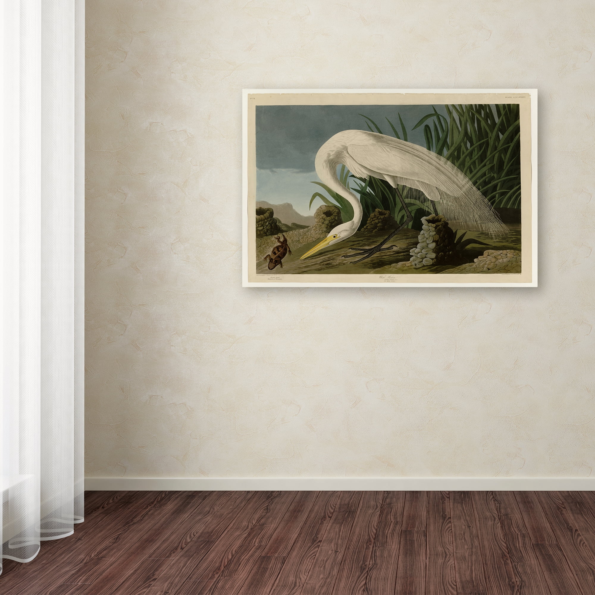 Trademark Fine Art 'White Heronplate 386' Canvas Art by Audubon
