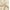 Beige - Colors vary according to monitor, variant on Nestl Velvet Throw Pillow Covers Solid Rectangle Soft Decorative Pillow Cover for Sofa, 12" x 20", Khaki, Pack of 2