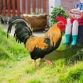 thumbnail image 2 of Poultry Decoration Courtyard Card Size Card Decoration Courtyard Decoration Acrylic Double Printing Party Card Animal Rowsgarden Decoration Gardening Decoration Rabbit Cardboard Hideout Custom Banner, 2 of 4