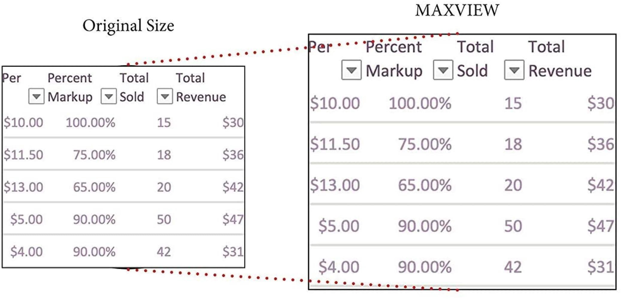 Kantek MAXVIEW LCD Monitor Magnifier 