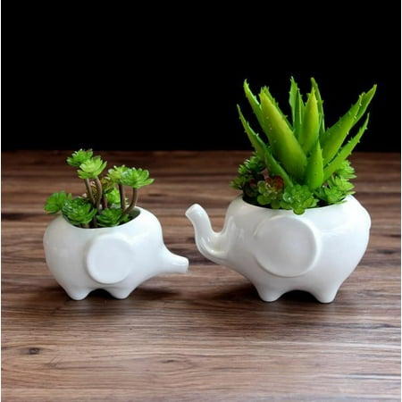Kawaii Animals Ceramic Flower pot Elephant Succulent Planter Cactus Succulent Plants Flower Cute White Pot (1PCS (Best Plants For Pots)