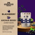 thumbnail image 3 of Buck Naked Bears Strawberry Blackberry Gummy Bears 3.5 oz (Pack Of 12), 3 of 4