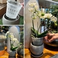 thumbnail image 3 of Mosiee Clear Orchid Pots With Saucers 6 Pack For Healthy Roots & Easy Care, 3 of 9
