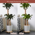 thumbnail image 4 of Coconut Mulch Disc Coconut Disc Pack Of 4 45 Cm Diameter Coconut Mat Multi Use Coconut Mulch Disc Flower Pot Winter Winter For Pot Plants Round Coconu, 4 of 8