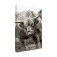 thumbnail image 4 of Jacky Parker 'The Bull' Canvas Art, 4 of 4