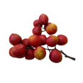 thumbnail image 2 of Outdor Realistic Fruits High Of Blueberries Cherries And Suitable For Use In Home Kitchens Dining Wedding Photography And, 2 of 5