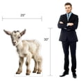 thumbnail image 2 of Life Size Cardboard Cutout Standup | Waterproof | Animals - Lamb, 2 of 2