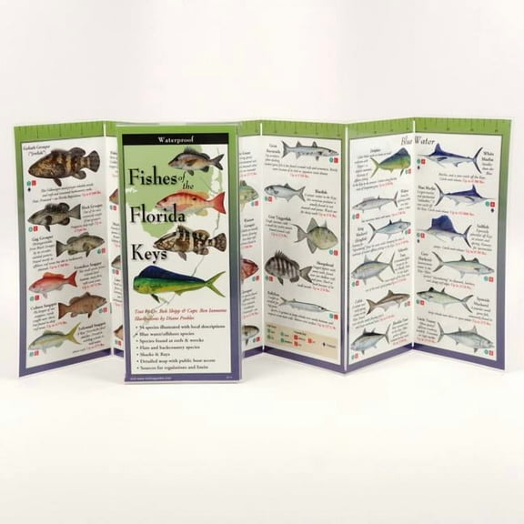 FoldingGuides: Fishes of the Florida Keys (Other)