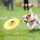 thumbnail image 3 of Mascotas de plástico juguetes de disco volador entrenamiento deportivo al aire libre para cachorros de margen dorado amarillo, 3 of 8