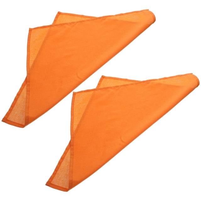 WEUVEB 2Pcs Resistant Table Mat Insulated Dinner Napkins for Home Dining Room