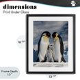 thumbnail image 4 of Stupell Industries Contemporary Penguins In The Wild Black Framed Print Under Glass, 13 x 16, by Scott Stulberg, 4 of 8