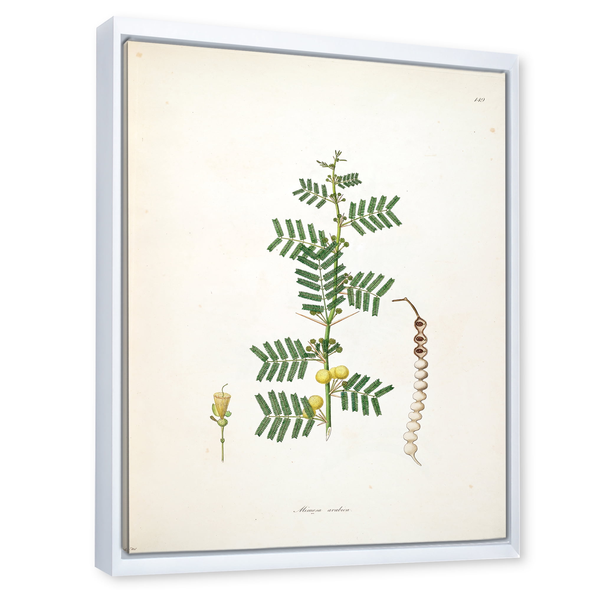 Designart 'Ancient Blossoming Flower III' Farmhouse Framed Canvas Wall Art Print